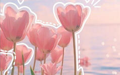 @Yuri 11:47 a.m